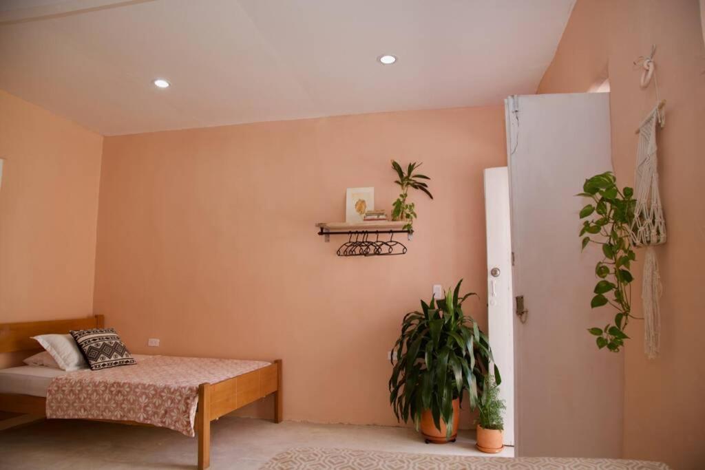 Great Location ! 4 Bedroom Home In The Heart Of Cartagena מראה חיצוני תמונה