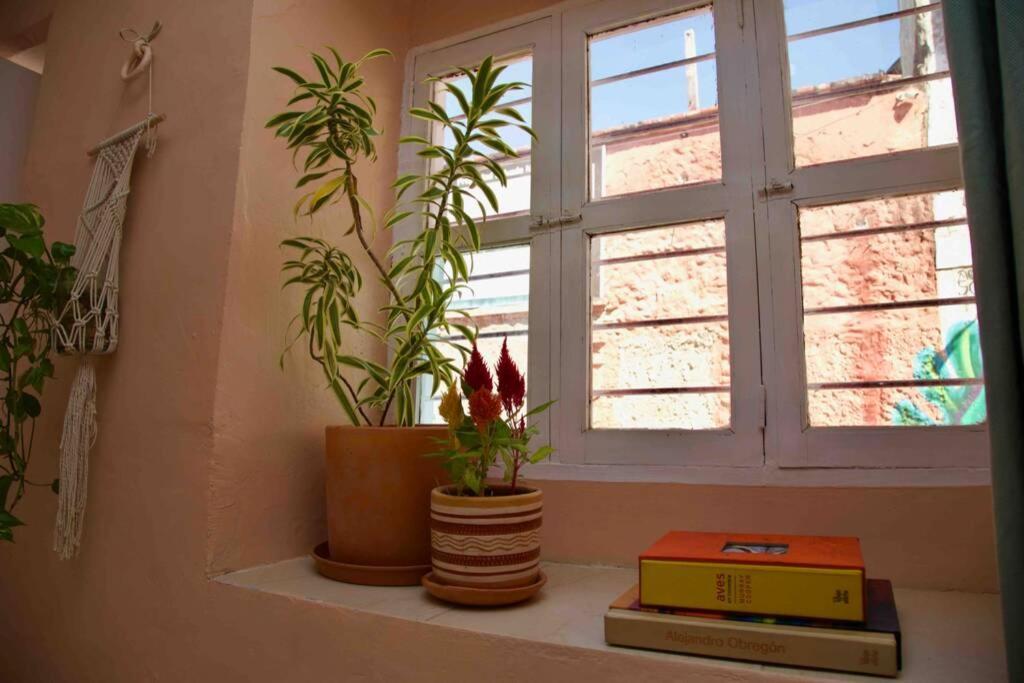 Great Location ! 4 Bedroom Home In The Heart Of Cartagena מראה חיצוני תמונה